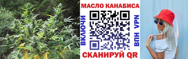 продажа наркотиков  Новая Ладога  ТГК THC oil 